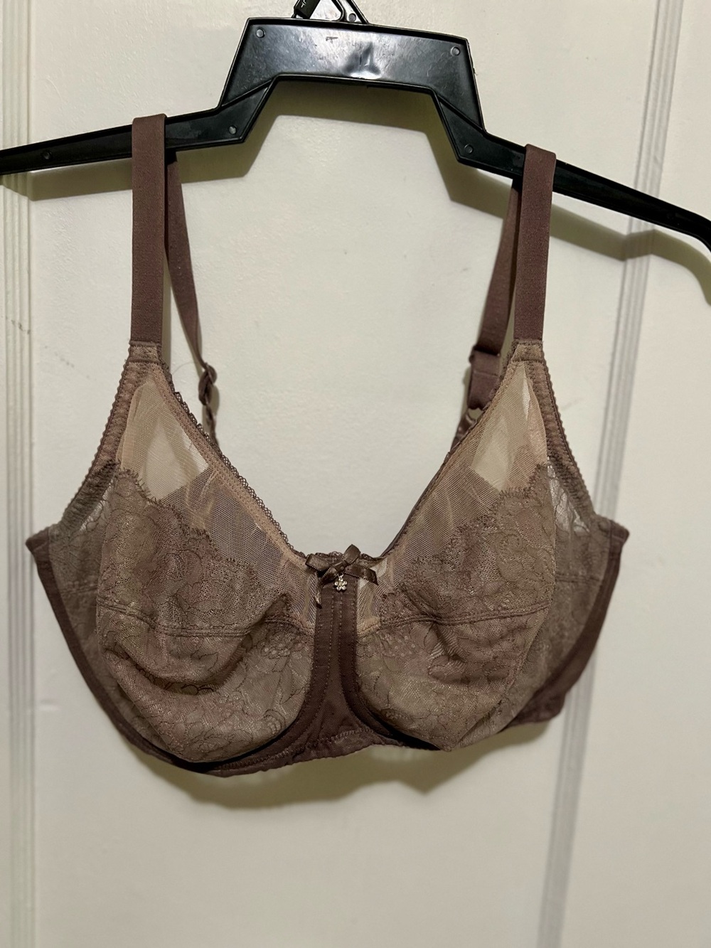 Wacoal Brown Lace Underwire Bra with Sheer Panels